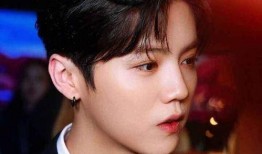 狗仔爆料鹿晗近况视频,狗仔视频揭秘明星私生活